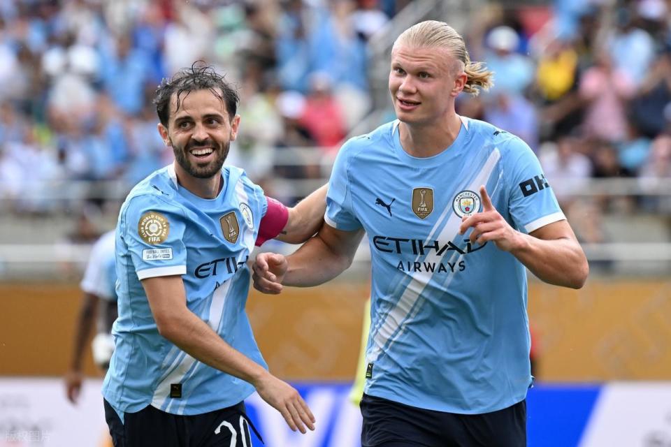 具备强大的 具备强大的